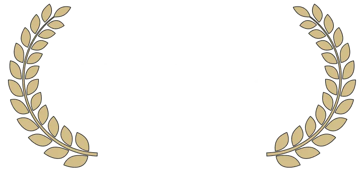 Amazon販売直後にベストセラー＆月商1500万円突破