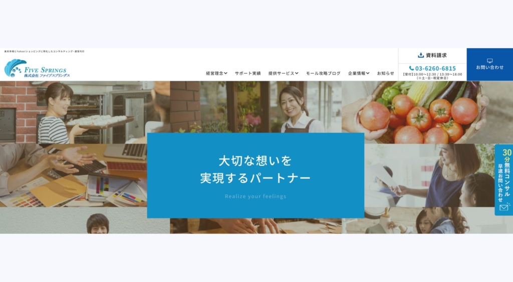 17. 株式会社ファイブスプリングス