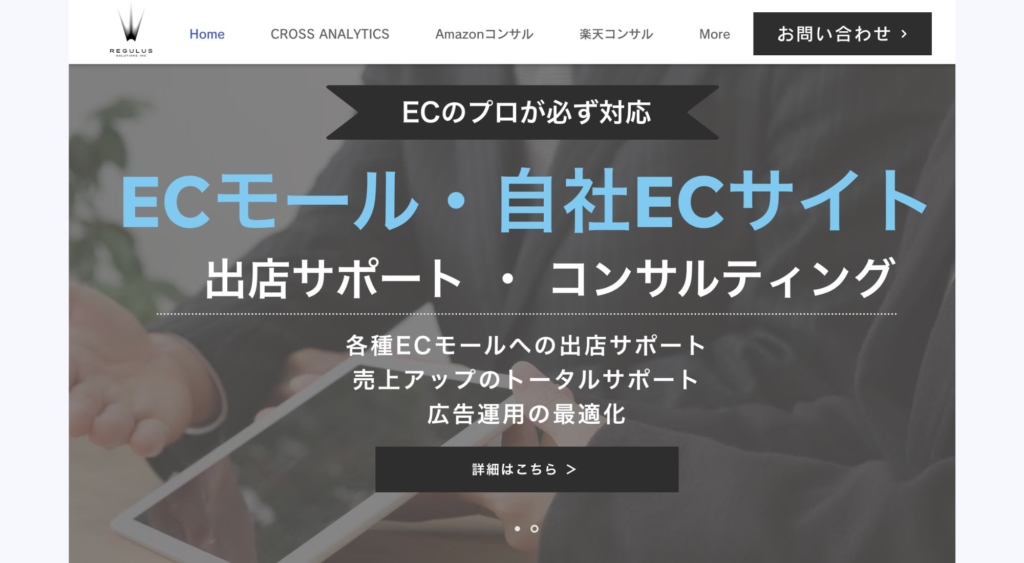 6. レギュラス・ソリューションズ株式会社
