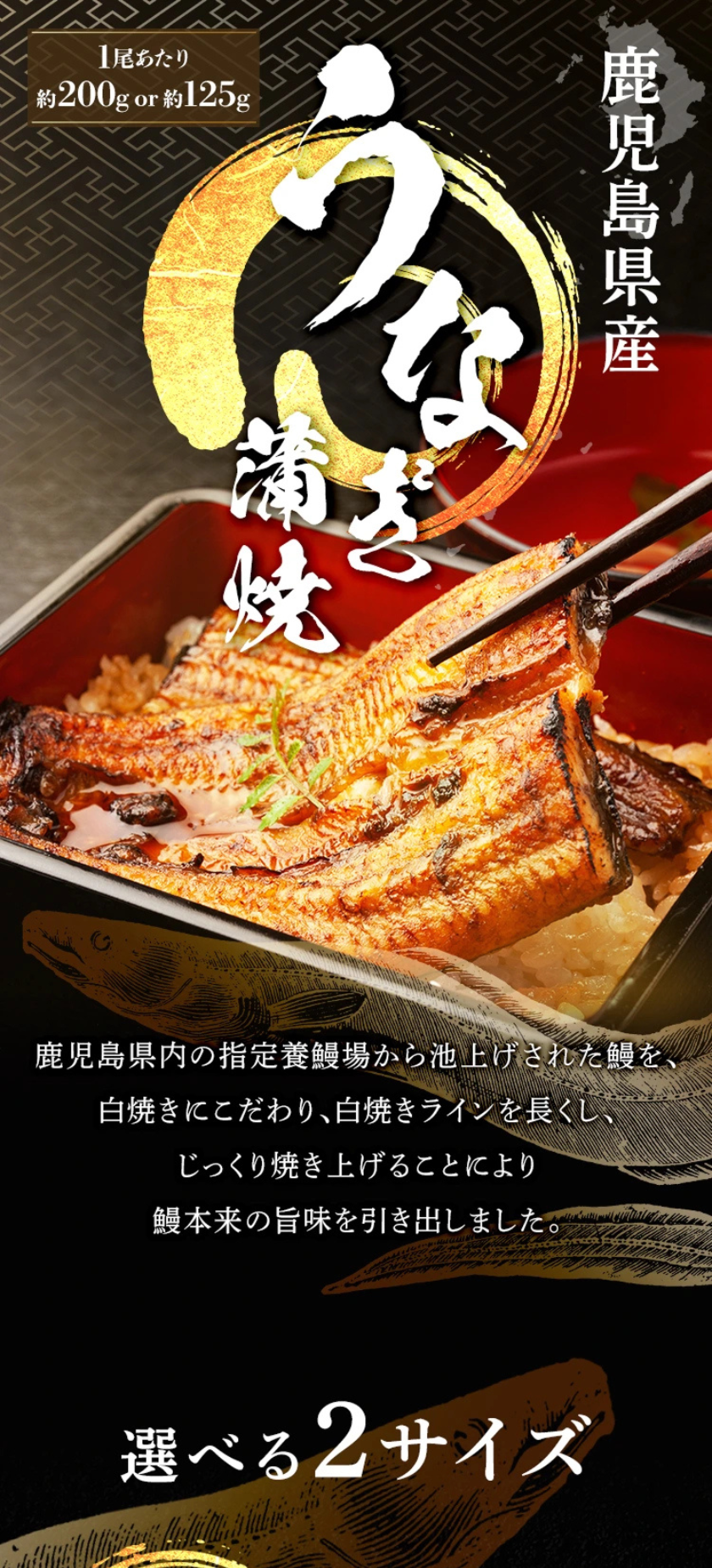 食品メーカー（鰻）のLP制作